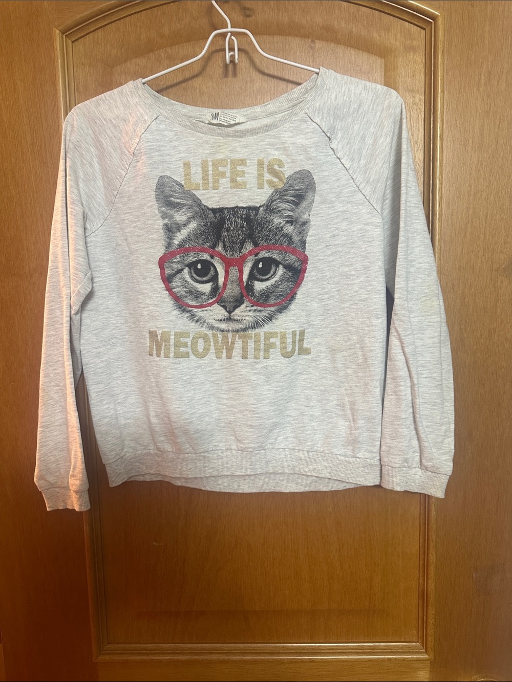 H&M Light Gray Cat Graphic Sweatshirt with Red Glasses